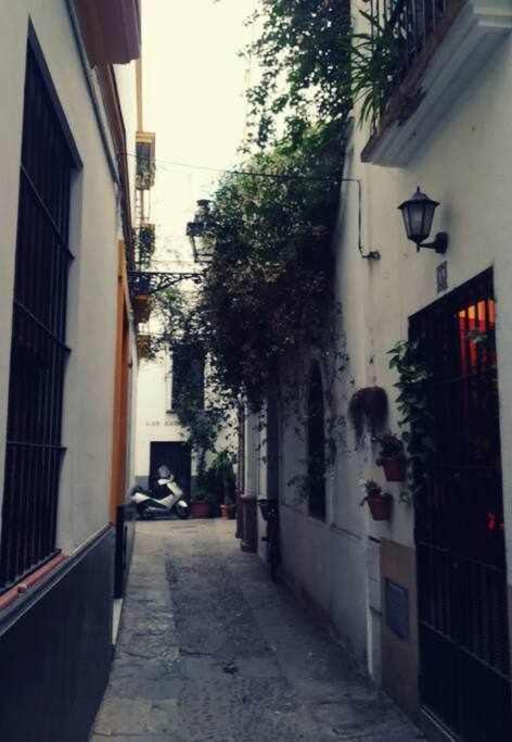 Appartamento Precioso Lugar En Barrio Sta Cruz *