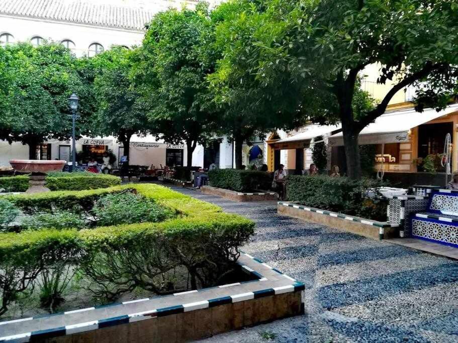 Precioso Lugar En Barrio Sta Cruz Appartamento *
