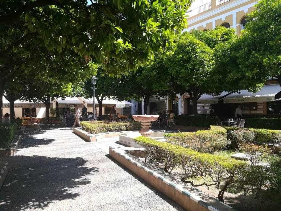 Precioso Lugar En Barrio Sta Cruz Appartamento *