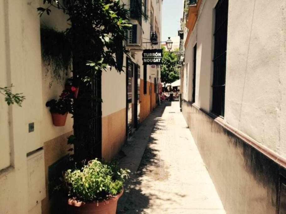 Precioso Lugar En Barrio Sta Cruz Appartamento